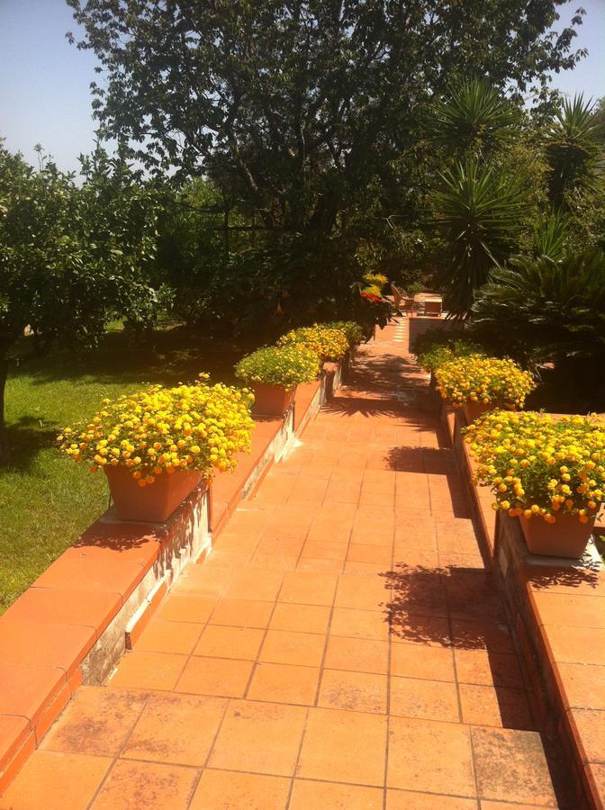 B&B Villa Irma Półwysep Sorrentyński Zewnętrze zdjęcie